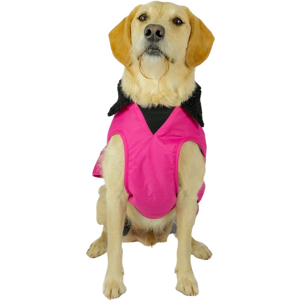 2026 Dryrobe Dog Coat V3DRDC - Pink / Black